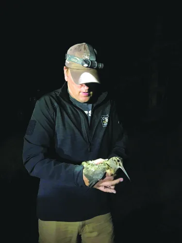 Into the thickets: Lutz explains the hidden lives of grouse and woodcock